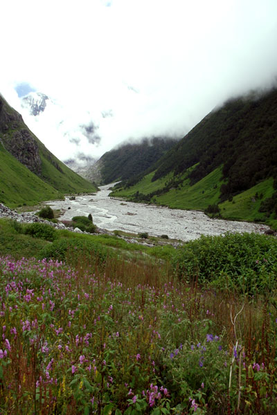 valley-of-flowers-pushpawat valley-of-flowers-pushpawat