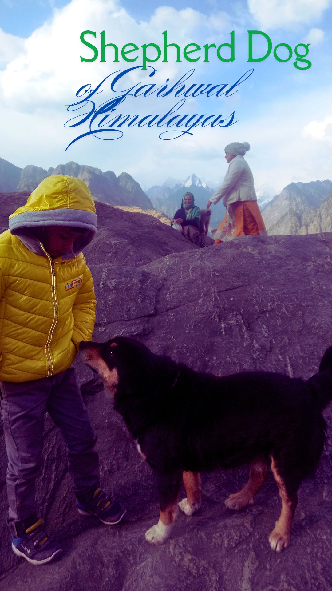 Shepherd Dog of Himalayas Shepherd Dog of Himalayas